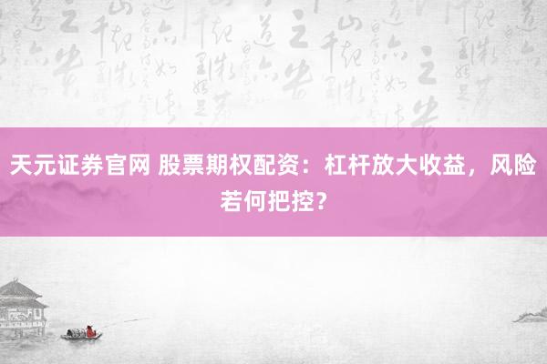 天元证券官网 股票期权配资：杠杆放大收益，风险若何把控？