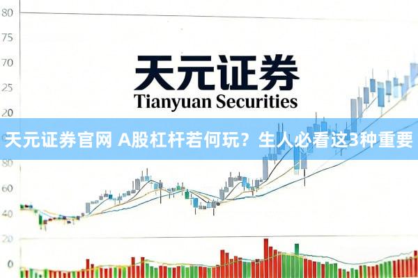 天元证券官网 A股杠杆若何玩？生人必看这3种重要