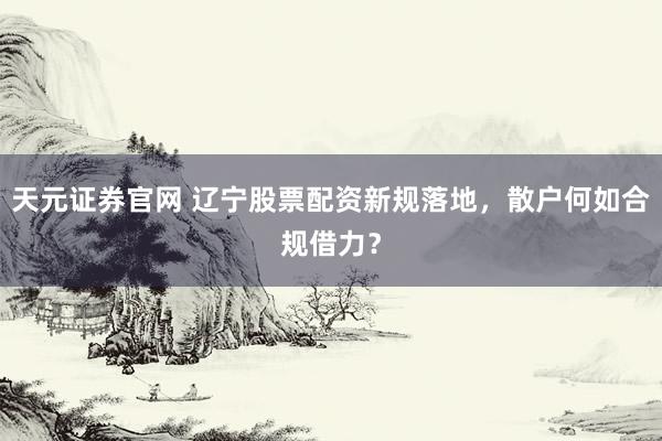 天元证券官网 辽宁股票配资新规落地，散户何如合规借力？