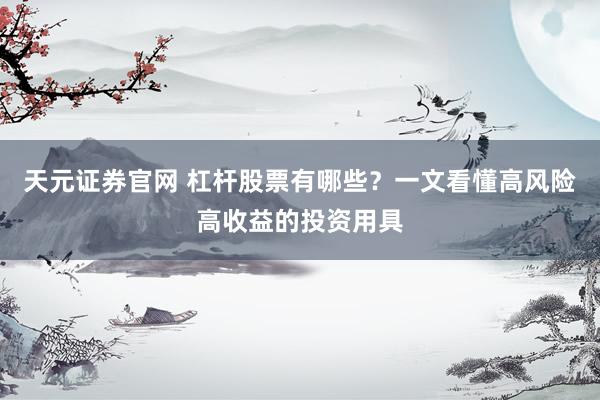 天元证券官网 杠杆股票有哪些？一文看懂高风险高收益的投资用具